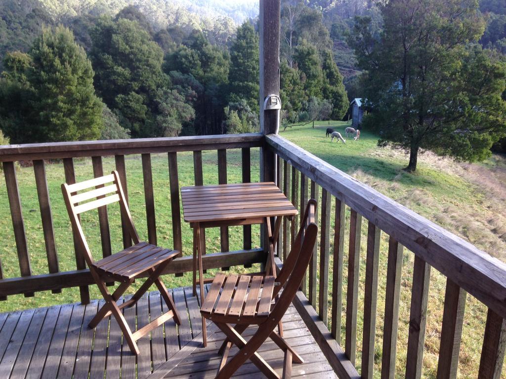 אפולו ביי Tall Trees Eco Retreat - Blackwood Cottage מראה חיצוני תמונה
